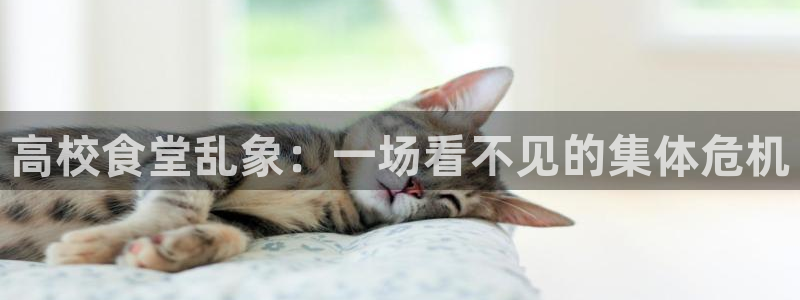 51吃瓜热心张津瑜:高校食堂乱象:一场看不见的集体危机