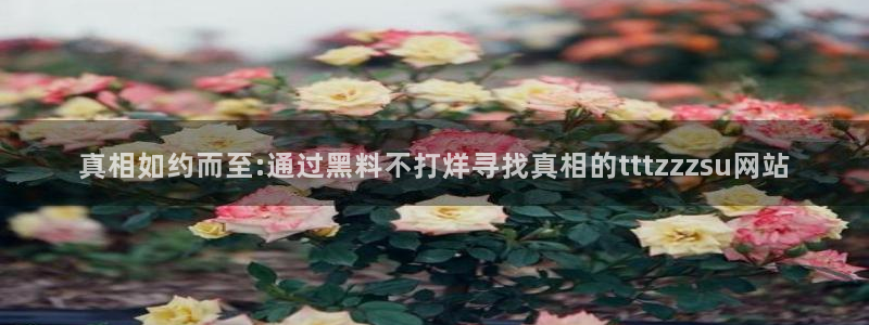 51全网更新最快最全的吃瓜网:真相如约而至:通过黑料不打烊寻找真相的tttzzzsu网站