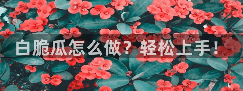 51吃瓜网每日榜单:白脆瓜怎么做?轻松上手!